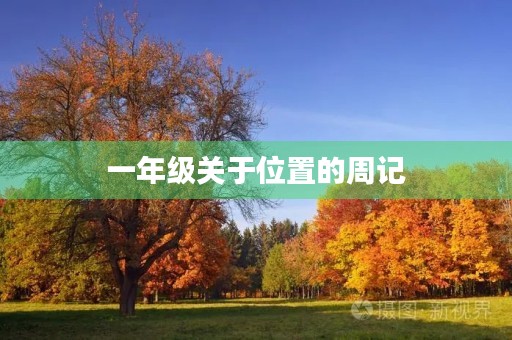 一年级关于位置的周记 一年级关于位置的周记