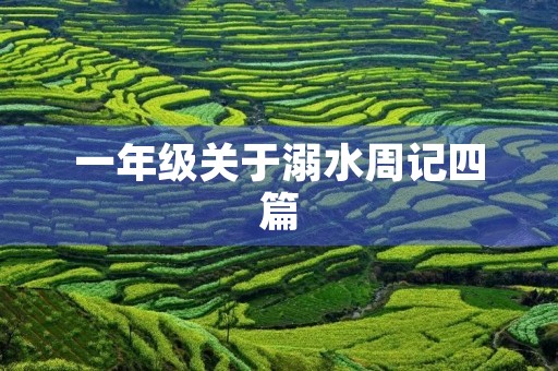 一年级关于溺水周记四篇