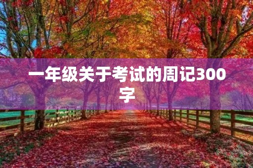 一年级关于考试的周记300字 一年级关于考试的周记300字