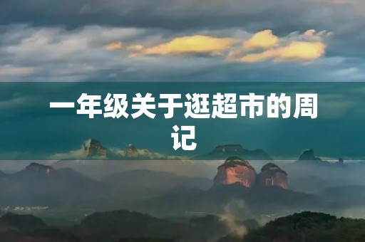 一年级关于逛超市的周记