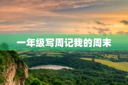 一年级写周记我的周末