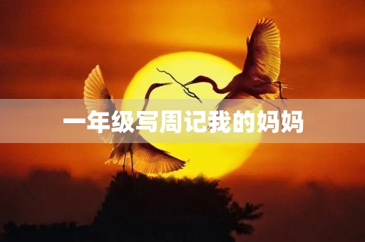 一年级写周记我的妈妈