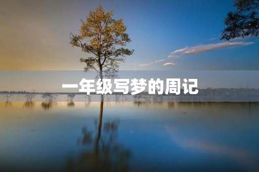 一年级写梦的周记
