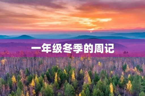 一年级冬季的周记