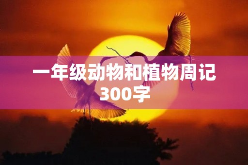 一年级动物和植物周记300字