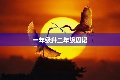 一年级升二年级周记 一年级升二年级周记