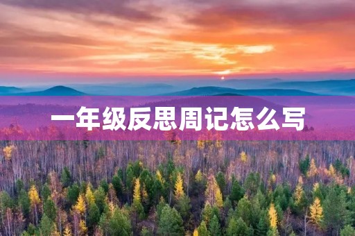 一年级反思周记怎么写 一年级反思周记怎么写