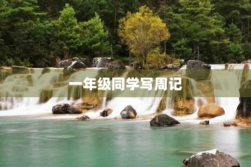 一年级同学写周记