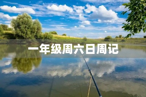 一年级周六日周记