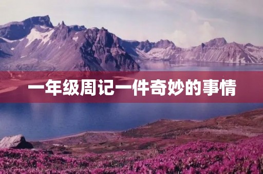 一年级周记一件奇妙的事情