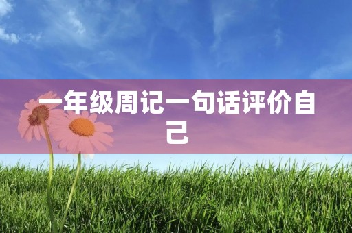 一年级周记一句话评价自己