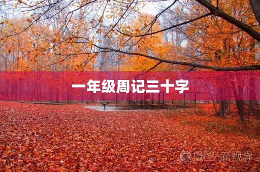 一年级周记三十字