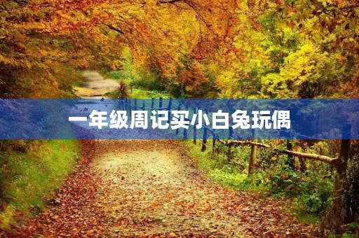 一年级周记买小白兔玩偶