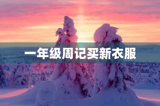 一年级周记买新衣服