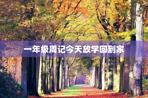 一年级周记今天放学回到家 一年级周记今天放学回到家