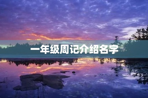 一年级周记介绍名字