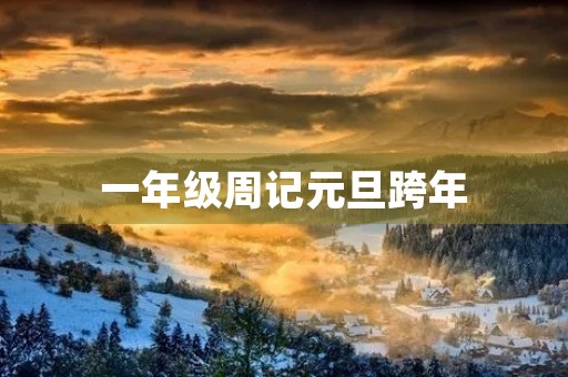 一年级周记元旦跨年