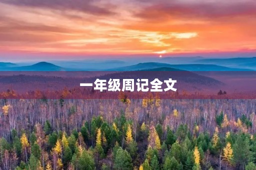 一年级周记全文