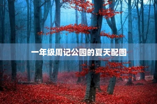 一年级周记公园的夏天配图