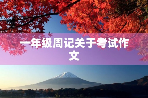 一年级周记关于考试作文 一年级周记关于考试作文