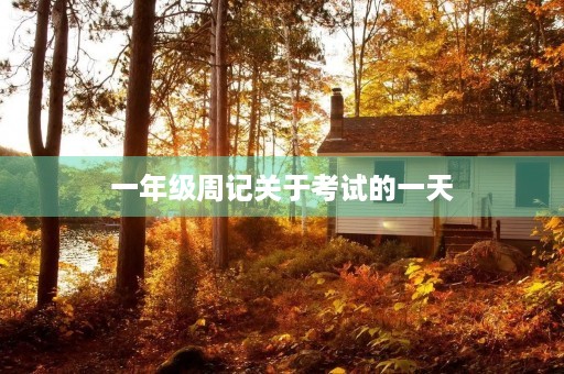 一年级周记关于考试的一天 一年级周记关于考试的一天