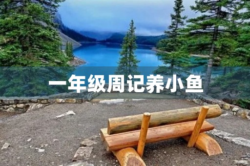一年级周记养小鱼