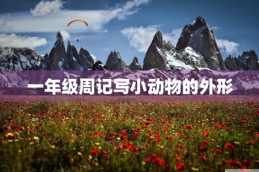 一年级周记写小动物的外形 一年级周记写小动物的外形