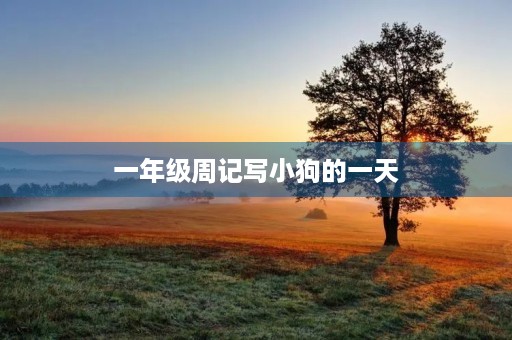 一年级周记写小狗的一天 一年级周记写小狗的一天