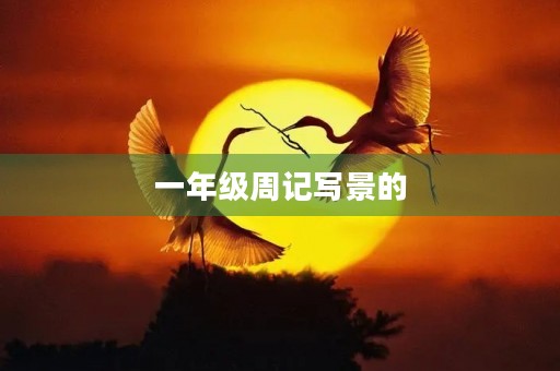 一年级周记写景的