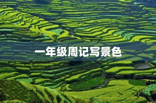 一年级周记写景色