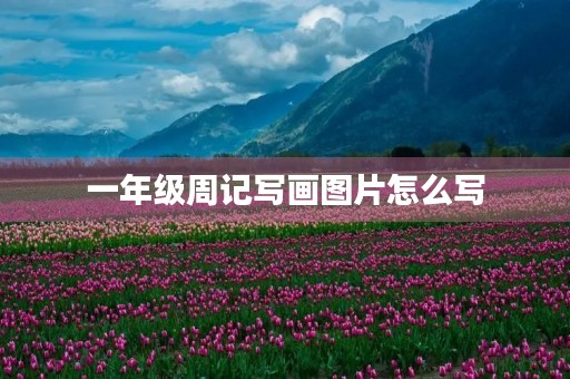 一年级周记写画图片怎么写