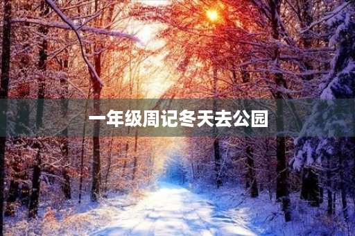 一年级周记冬天去公园