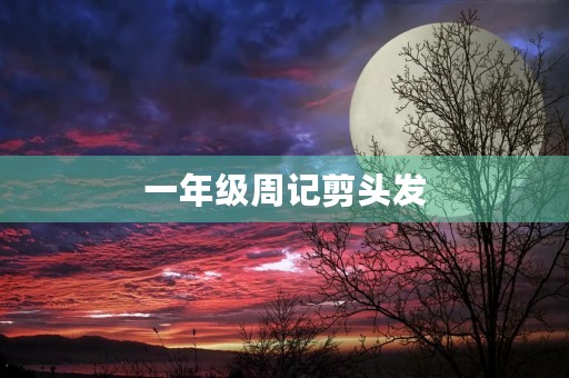 一年级周记剪头发 一年级周记剪头发