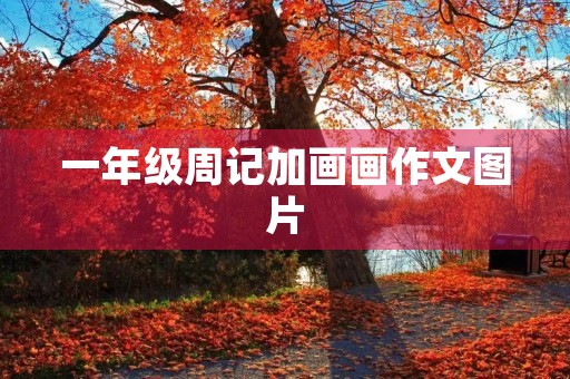 一年级周记加画画作文图片