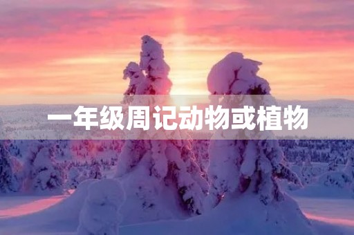 一年级周记动物或植物 一年级周记动物或植物