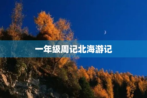 一年级周记北海游记