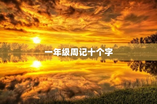 一年级周记十个字