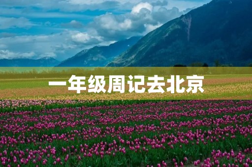 一年级周记去北京 一年级周记去北京