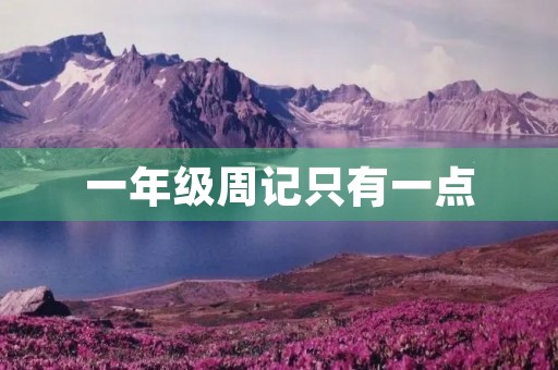 一年级周记只有一点