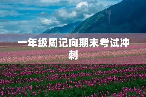 一年级周记向期末考试冲刺