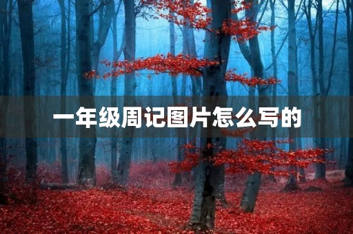 一年级周记图片怎么写的