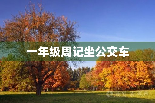 一年级周记坐公交车 一年级周记坐公交车