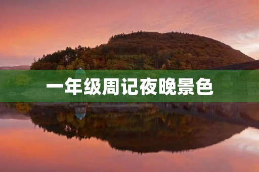 一年级周记夜晚景色