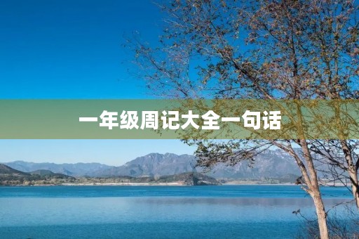 一年级周记大全一句话
