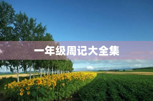 一年级周记大全集