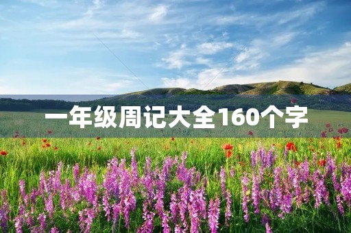 一年级周记大全160个字