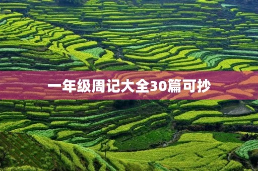 一年级周记大全30篇可抄