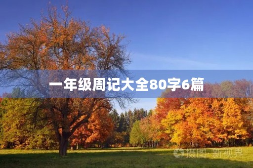 一年级周记大全80字6篇 一年级周记大全80字6篇