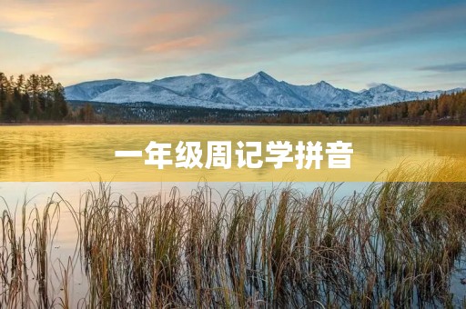 一年级周记学拼音