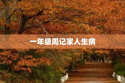 一年级周记家人生病